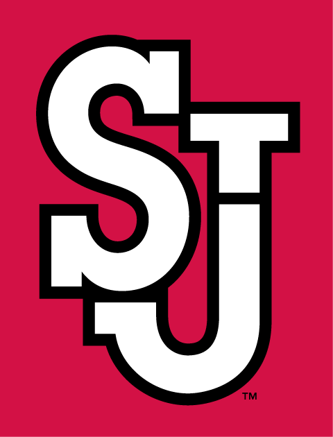 St. John's Red Storm 2007-Pres Alternate Logo diy fabric transfers